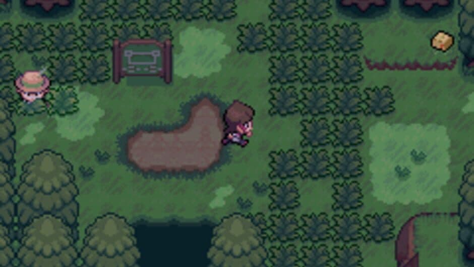 Pokémon Sors 2 screenshot 4