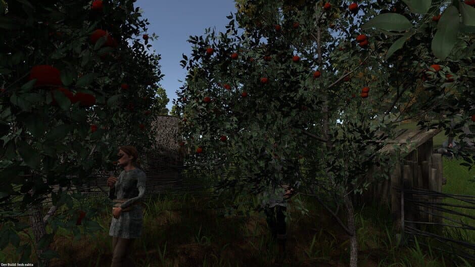 Saelig screenshot 4
