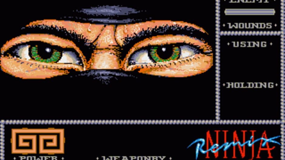 Ninja Remix screenshot 2
